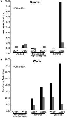 Sampling Constraints and Variability in the Analysis of Bacterial Community Structures in the Sea Surface Microlayer